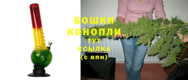 ГАЛЛЮЦИНОГЕННЫЕ ГРИБЫ Балабаново