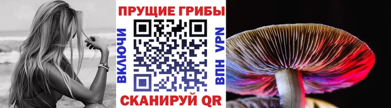 Галлюциногенные грибы Psilocybine cubensis  Волжск 